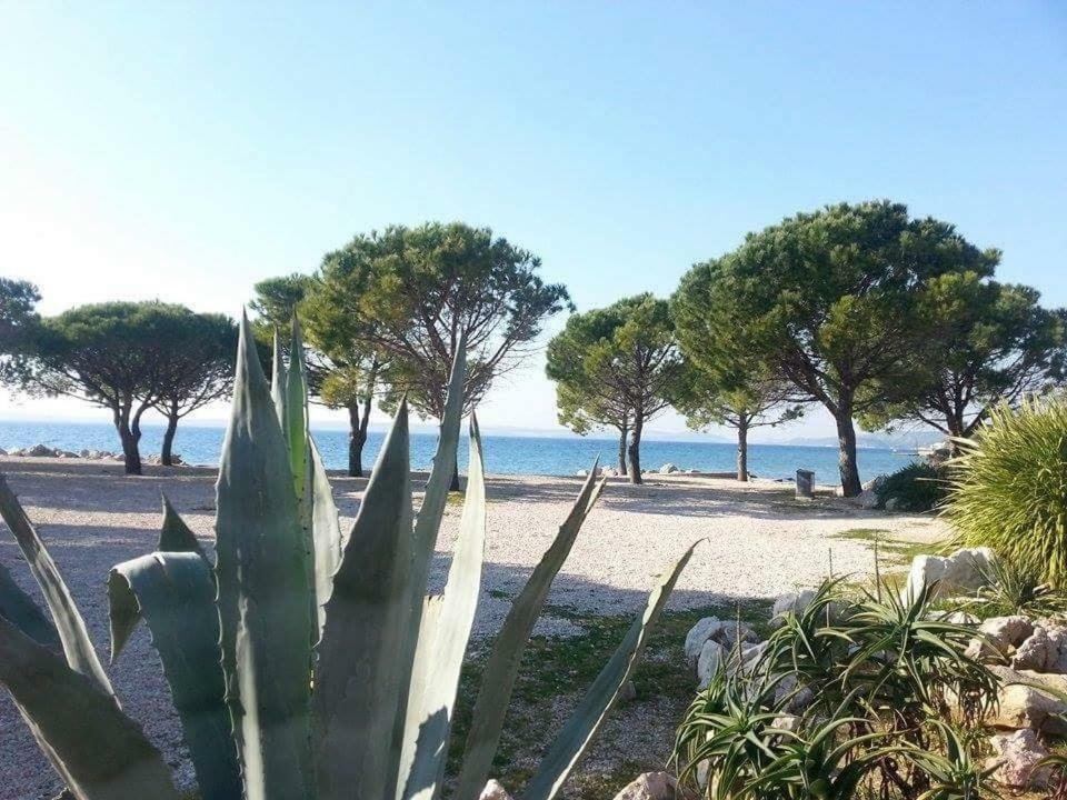 Apartment Dora Crikvenica Exterior foto
